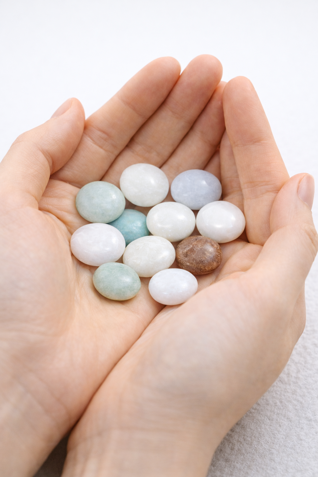 24시간 상담 예약